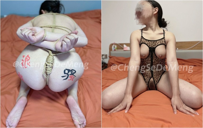 橙色的梦 – 淫妻调教 人前露出 合集 [36V80P-4.67G]